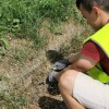 čiščenje velenje.jpeg