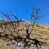 planinski-izlet, ratitovec