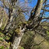 planinski-izlet, ratitovec