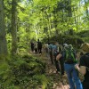 suha-krajina, kocevarske-vasi