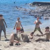 fight-club-shony, korcula