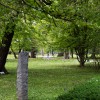 simbolična, park, narava, grad, raca, račke, račka
