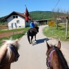 blagoslov-konj-in-konjenikov