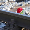 goranh-red-rose-on-rail-track-2781118.jpg