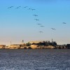 Alcatraz