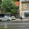 celovska-cesta, siska, napad, policija