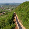 zezelj