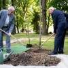 dan-spomina-in-tovaristva, nasi-zakladi, vrt-spominov-in-tovaristva