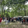brezmejni-sejem, park-prijateljstva, zitkovci