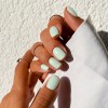 mint nohti