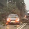 neurje
