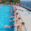 plavalni tečaj.jpg