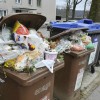 mikroplastika, vrecka, ravnanje-z-odpadki, bioloski-odpadki