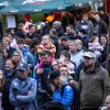 koncert, nika-zorjan, maraton-treh-src
