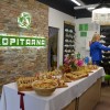 kopitarna-sevnica, 140-let, razstava