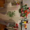 skupina-rozice, papirnate-roze, pomurski-muzej, cvetoca-tradicija