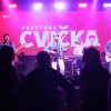 festival-cvicka