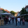 festival-cvicka