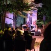 festival-cvicka