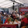 festival-cvicka