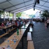festival-cvicka