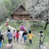 celjska-koca-vrtci