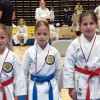 kk-soltec-brezice
