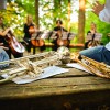 festival-v-mestnem-gozdu