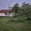 neurje, sveta-ana, odkrite-strehe, podrta-drevesa