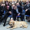 anže logar, tadej ostrc, eva irgl.jpg