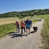 pohod, sulinci, sktd-sulinci