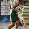 krka-olimpija