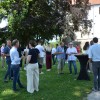 festival-modre-frankinje-2026, grad-sevnica