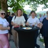 festival-modre-frankinje-2026, grad-sevnica