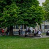 klimadan, klimatag, projekt, os-ii-murska-sobota, mladinska-zadruga-panotrip