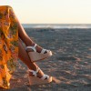 Sandale s polno peto