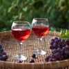 Rdeče vino