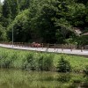 stolovnik, ribnik
