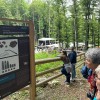 jama-pod-macesnovo-gorico, slovesnost-2026