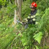resevanje, pgd-sevnica, pgd-vrhovo