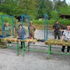 usposabljanje-in-strelsko-tekmovanje-s-pistolo-velikega-kalibra-v-kanizarici