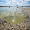 velence, jezero