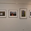 sledi-svilne-poti, razstava, fotoklub-proportio-divina
