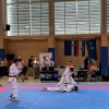 karate-klub-mirna-pec
