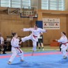 karate-klub-mirna-pec