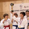 karate-klub-mirna-pec