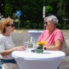 sončno-polje, tešanovci, butični-turizem, hotel, odprtje, turizem