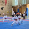 karate-klub-mirna-pec