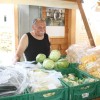cesnje, brusniska-hrustavka, ivan-kralj, mestna-obcina-novo-mesto, razstava-cesenj