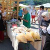cakcev-dom, praznik-prazenega-krompirja